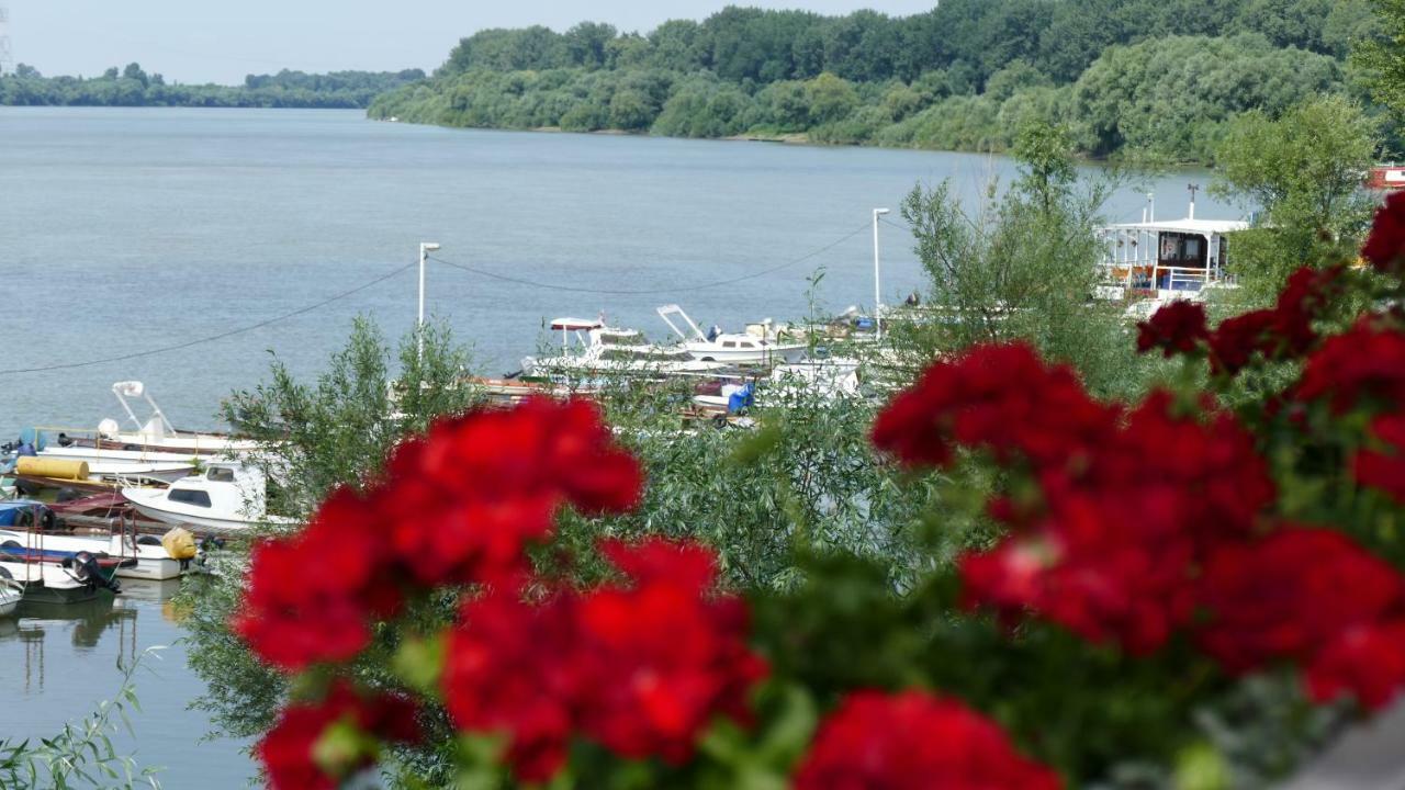 B&B Posejdon Sremska Mitrovica Luaran gambar